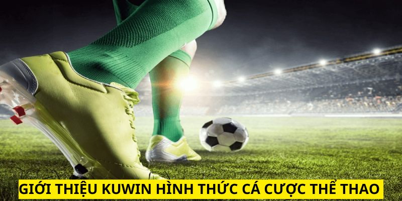 Giới thiệu KUWIN về không gian cá cược thể thao