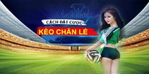 Kèo Chẵn Lẻ - Bật Mí Những Mẹo Bắt Kèo Hiệu Quả Nhất