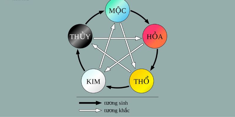 Một số sắc lông phổ biến